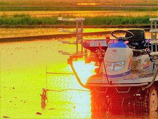 ISEKI2009